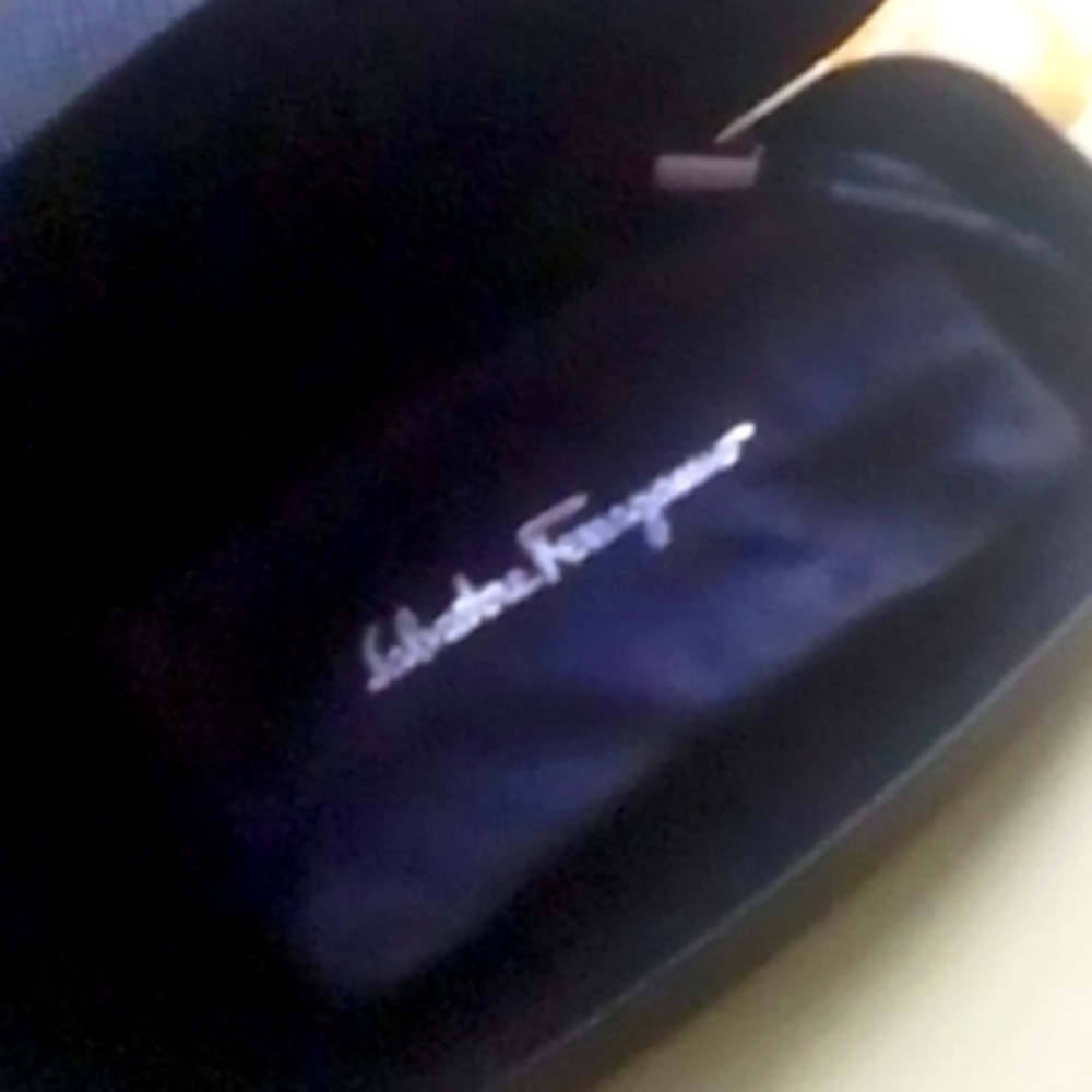 Salvatore Ferragamo Glasses Case